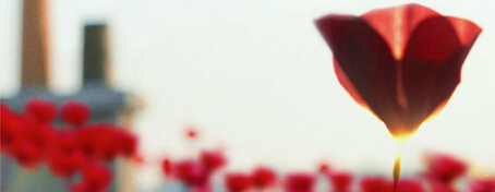 杭州創(chuàng)意海報設計公司的禪意美學