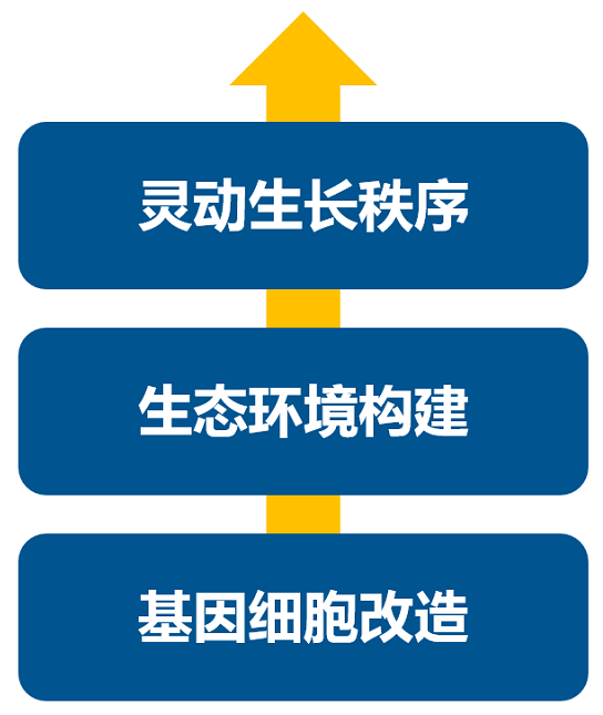 消費升級大時代，品牌如何進(jìn)行戰(zhàn)略升級？