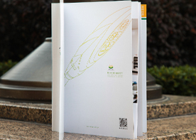 杭州畫冊設計的主導趨勢